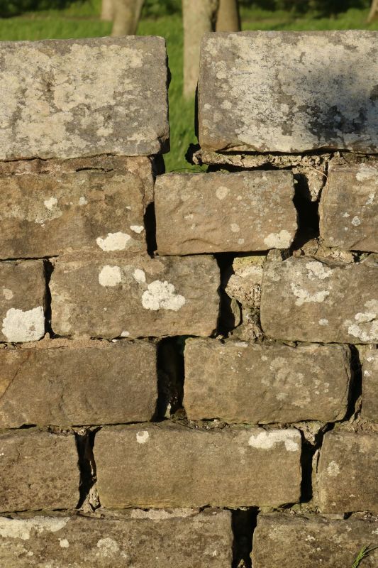 Stone Wall Repair in Hollywood, FL